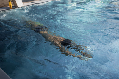 Triathlet schwimmt im Becken und trainiert seine Ausdauer während einer Schwimmeinheit im offenen Wasserpool.