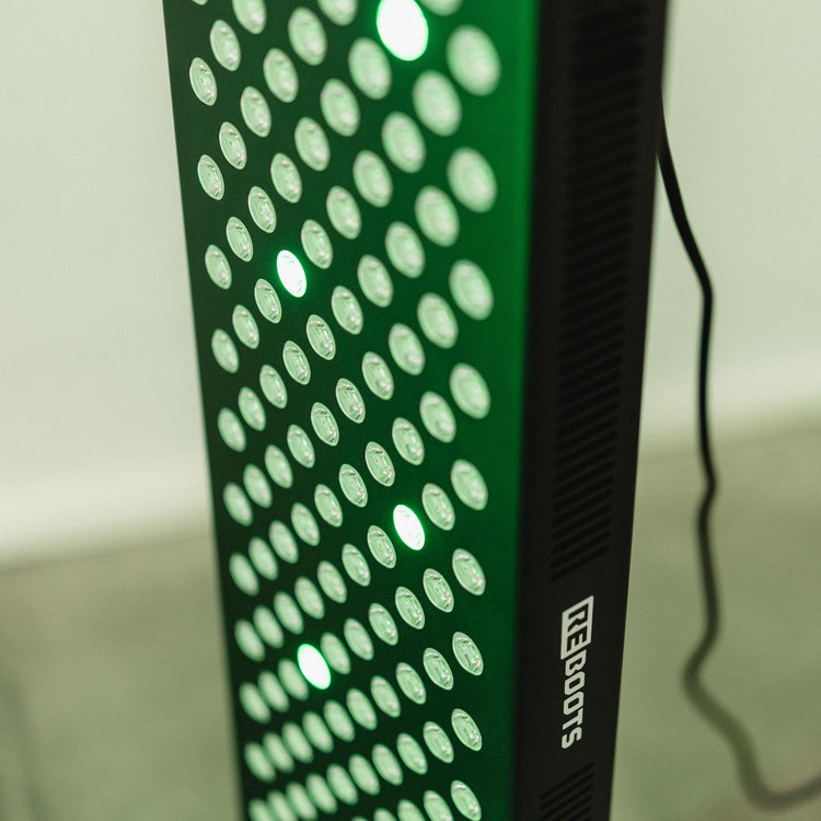 Reboots Relight Pro grünes Licht